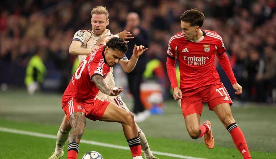 乒乓球世界排名更新