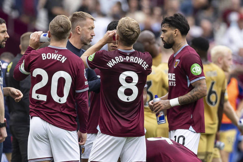 《猫咪斗恶龙3》游戏好玩吗 游戏特色内容介绍